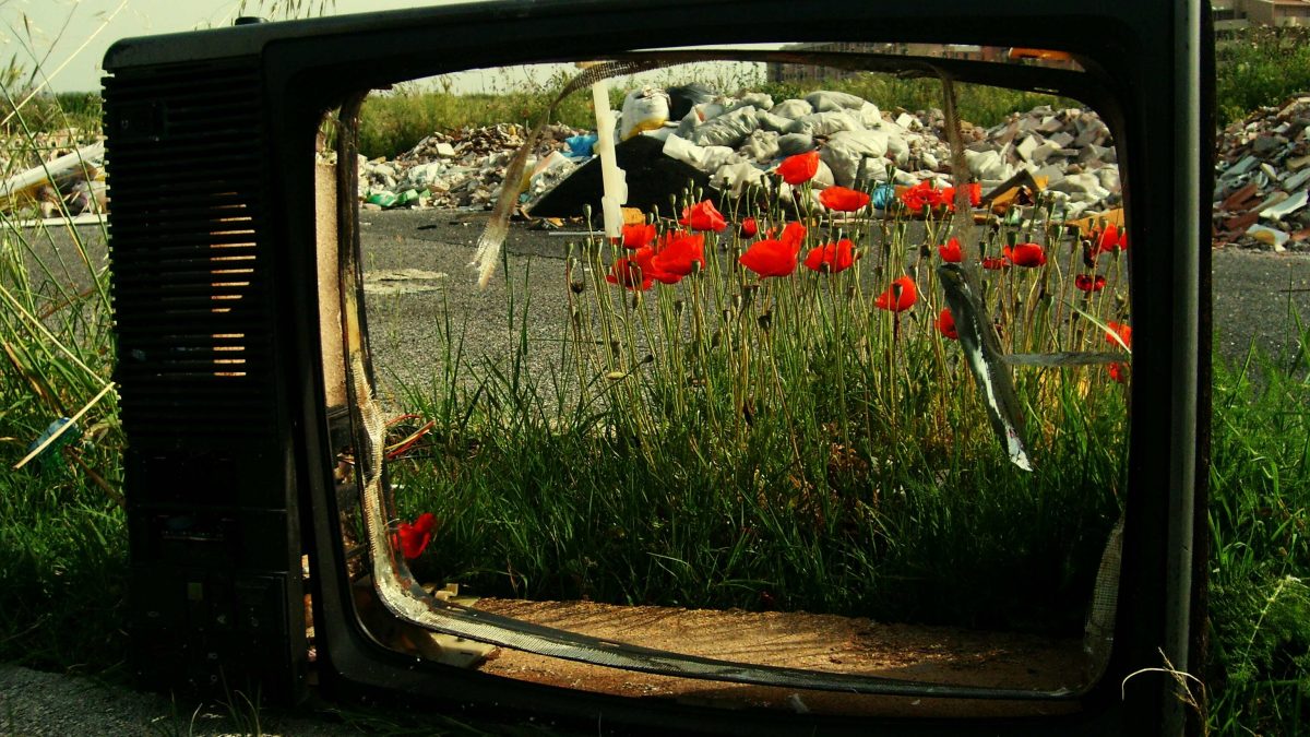 Searching for the unknown